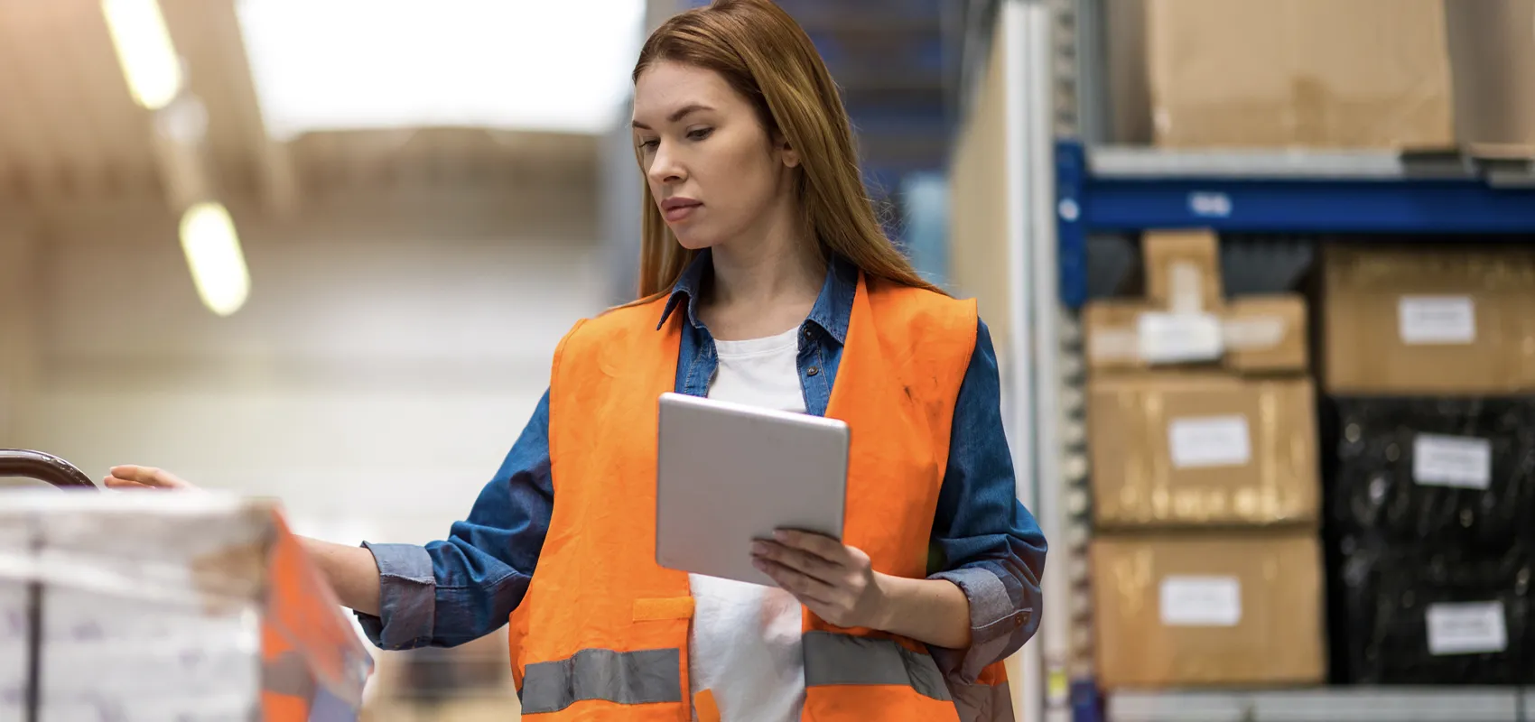 inventario logistica